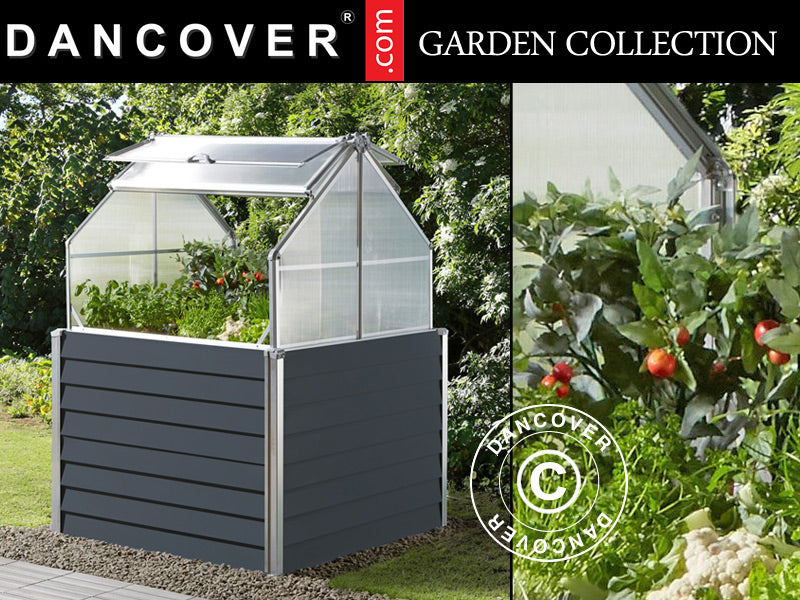 Mini Greenhouse 1.2x1.2x1.69 m, 1.44 m², Anthracite