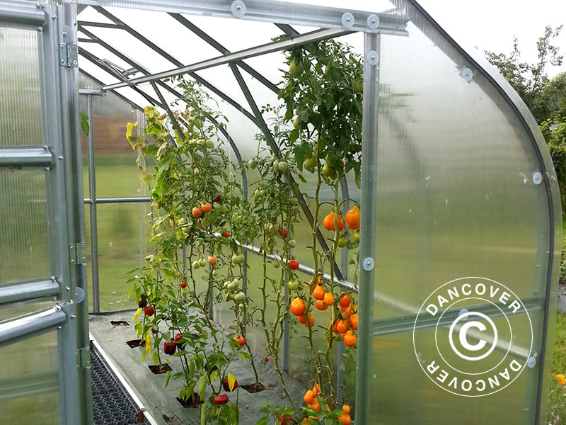 Greenhouse polycarbonate TITAN Dome 320, 20 m², 2.5x8 m, Silver