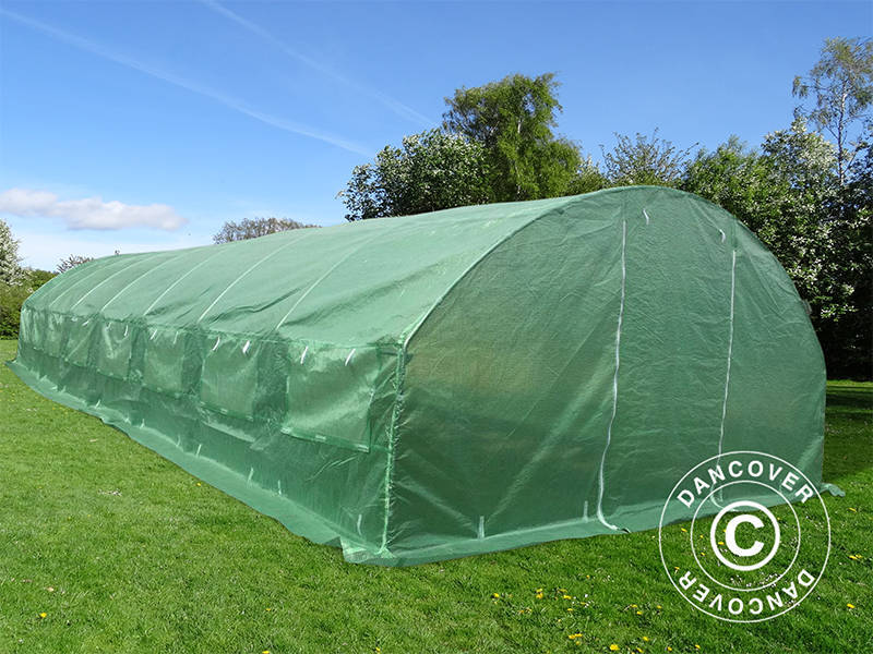 Polytunnel Greenhouse 4x10.6x2 m, 42.4 m², Green