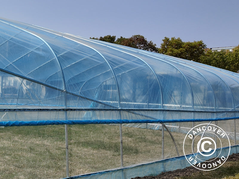 Cover for polytunnel greenhouse GH18400, 6x10x2.5 m, 100-micron PO Film, Transparent