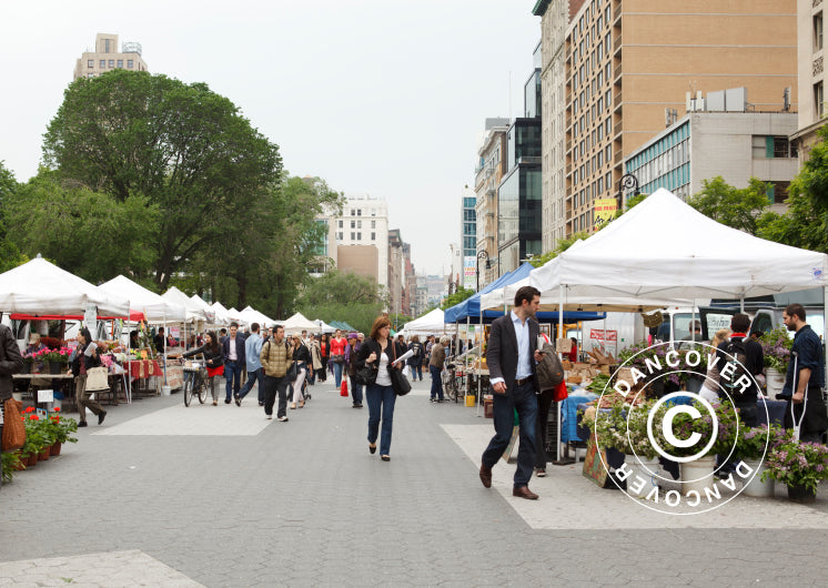 Pop up gazebo FleXtents PRO 2.5x5 m White, incl. 6 sidewalls