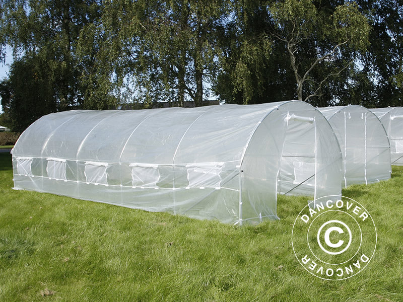 Polytunnel Greenhouse 3x8x2 m, 24 m², Transparent