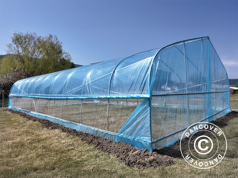 Polytunnel Greenhouse, 6x10x2.5 m, 100-micron PO Film, Transparent