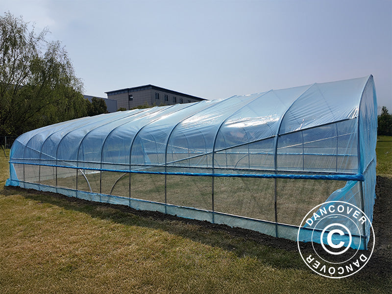 Polytunnel Greenhouse, 6x20x2,5m, 100-micron PO Film, Transparent
