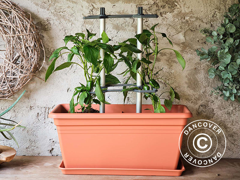 Climbing support, CHILI BUDDY, Anthracite/Silver