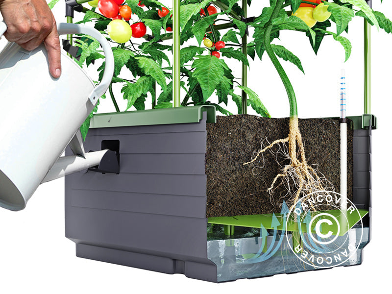 Planter box CityJungle w/2 covers, self-watering box, 62x33x128 cm, Anthracite