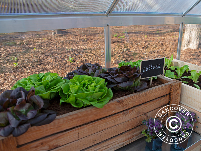 Greenhouse polycarbonate Balance 14.81 m², Palram/Canopia, 2.44x6.07x2.29 m, Silver