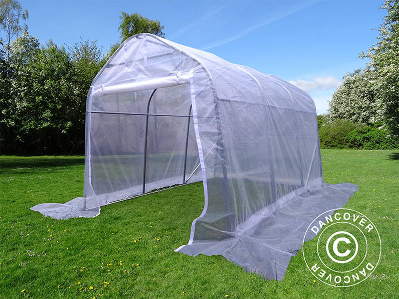 Polytunnel greenhouse, 2x3x2 m, PE, 6 m², Transparent