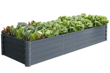 Raised Flower Beds